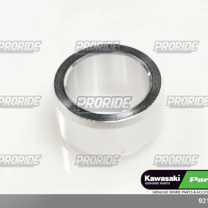 תותב פין דואל Z900RS 18