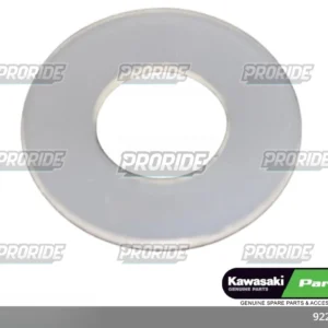 שייבה Z900RS 18