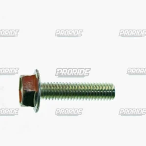 בורג 6x25ממ Silver GSX-R750 11-25