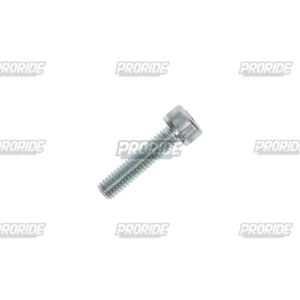 בורג אלן 6x25 GSX-R750 11-25