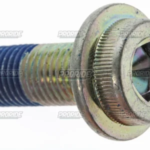 בורג אלן עם פלטה_10x28ממ1.25p GSX-R750 11-25