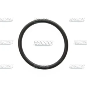 O RING_
