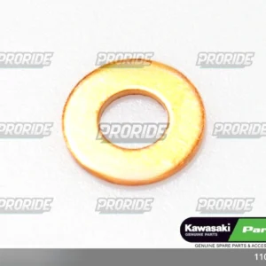 אטם בורג מכסה פיקאפ 09-07 ZX600