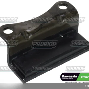 Z1000 SX 17 מוביל שרשרת על