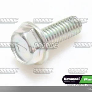 בורג TERYX4 800 23