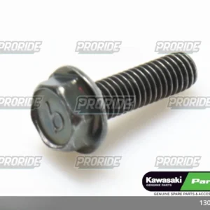 בורג ZX300 13/10-08 ZX250 6X20