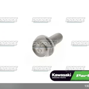 בורג ZZR1400ABS 12
