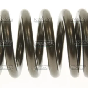 קפיץ שסתום פנימי 08 R6