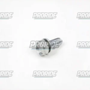 בורג 08 GTR1400  רגלית בלם 6X14