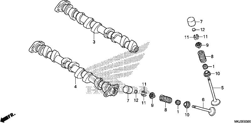זיזים/שסתום