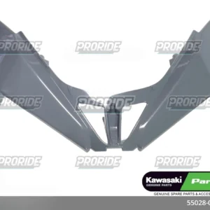 מכסה פנס על אפור Z650 24