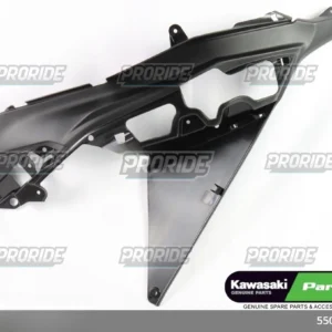כיסוי מרכזי ימין NINJA650 20