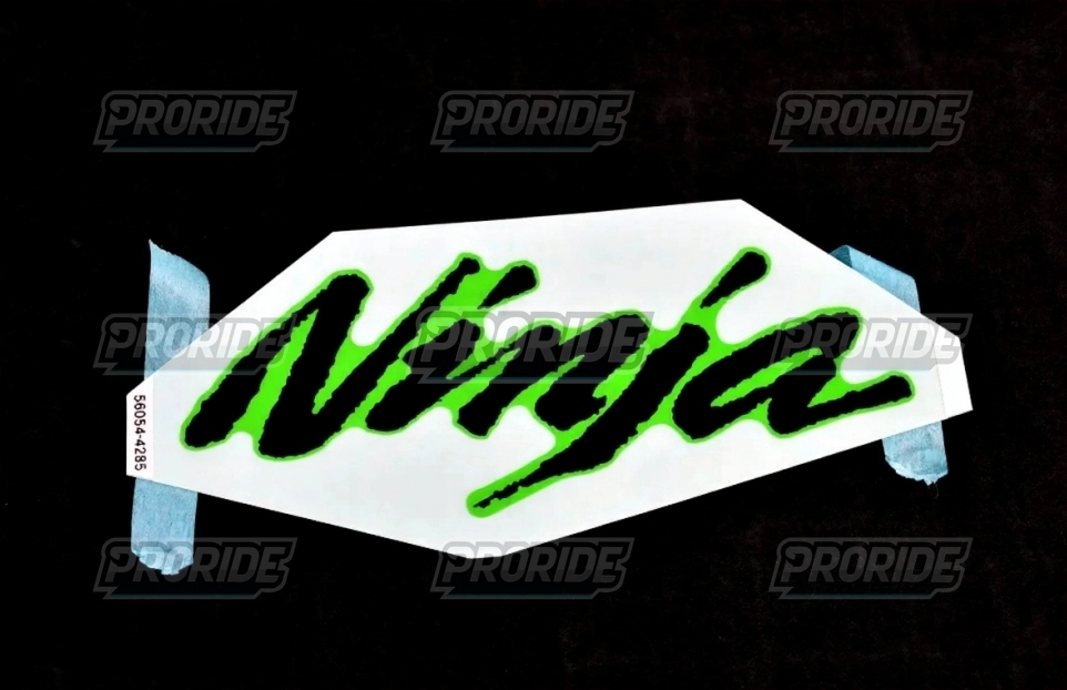 סימן כנף צדדי נינג'ה ZX-10R 24-25