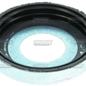 מכסה ציר אח 07-04 R1 '