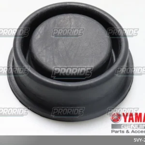 דיאפרגמה מיכל משאבת בלם 06 R6