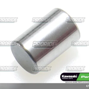 4/6 פין ZZR1400ABS 12/ZX300 13