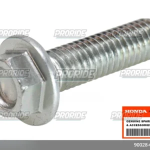 בורג S-NSHF 6X22 Hornet 750 23-25