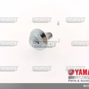 TENERE700 21 בורג