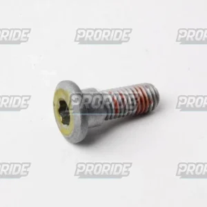 בורג דיסק בלם 8X24 CBR1000RR 12-19