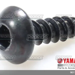 בורג מכסה מיכל דלק 08 FZ6-S/07 R1