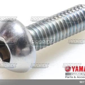 TENERE700 21 בורג