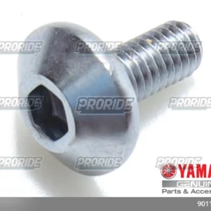 בורג MT-09 15-21