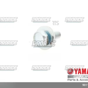 בורג עם שייבה TRICITY125 19