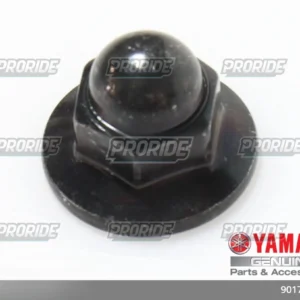 TENERE700 21 אום