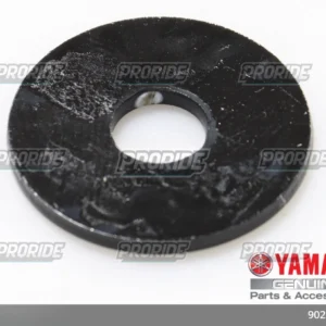 .*           (36Y) דיסקית