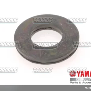 דיסקית (           1T1)    *