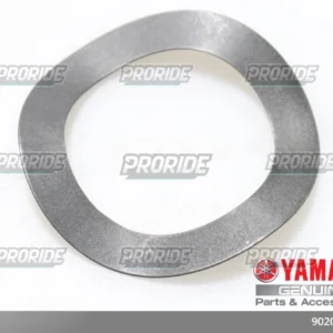 שייבה 09 R1(6T4)