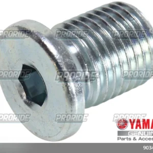 בורג ריקון שמן גיר MT-10 16-20