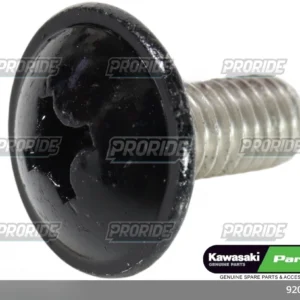 בורג שחור 6/14 ZX300 13W800 CAFE 19