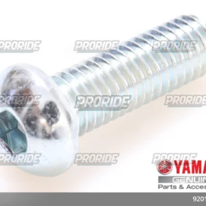 TENERE700 21 בורג