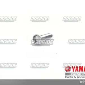 בורג YZF-R6 18