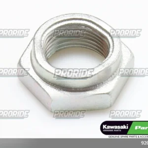 אום ZX636R 18W800 CAFE 19