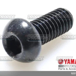 TENERE700 21 בורג