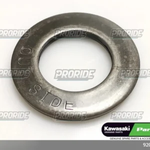 שייבה ZX636R 18W800 CAFE 19