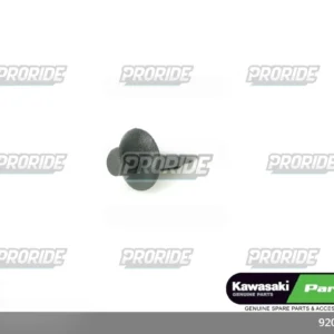פין נעיצה ZX636R 18