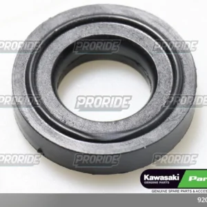 Z1000 SX 17 אורינג