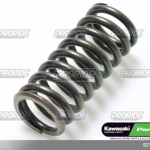 קפיץ מצמד Z900 17