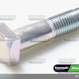 בורג 10X39.5 Z1000 14-19