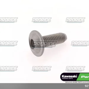 בורג פלסטיקה EX650F 13/10-07 KLE650