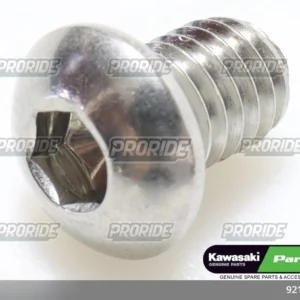 בורג 10-09 KLX250 6X8