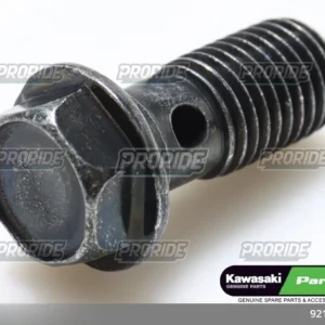 בורג ZX636R 18W800 CAFE 19