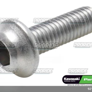 בורג ZX636R 18W800 CAFE 19