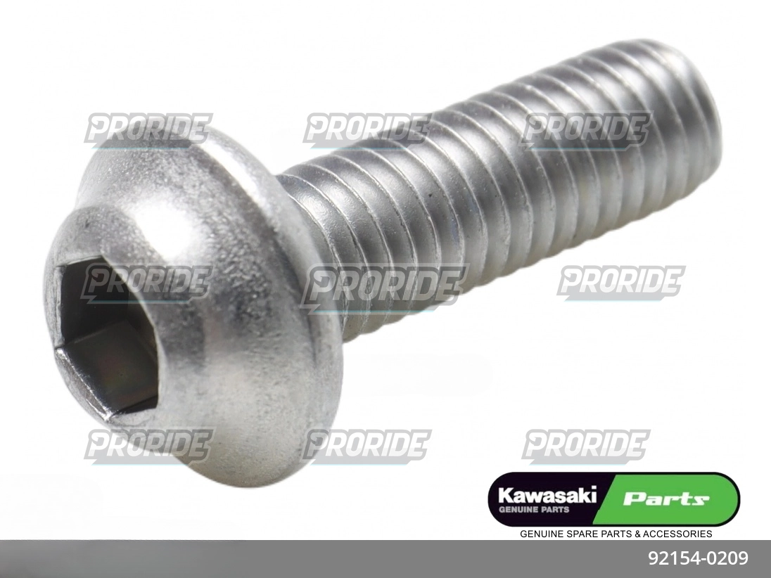 בורג ZX636R 18W800 CAFE 19