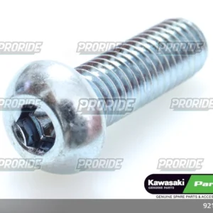 בורג KLE650 1516