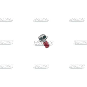 בורג ZX636R 18W800 CAFE 19