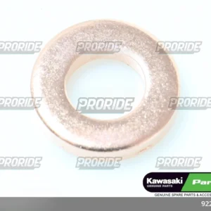 Z1000 SX 17 שייבה